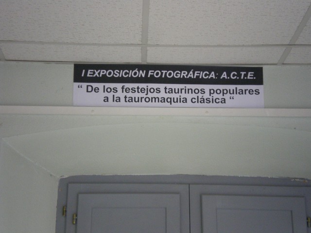 ExpoI (11)