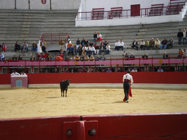 FeriaMedina (74)