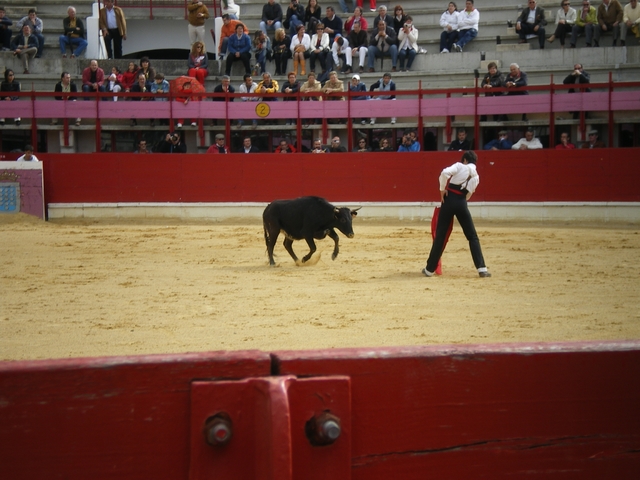 FeriaMedina (75)