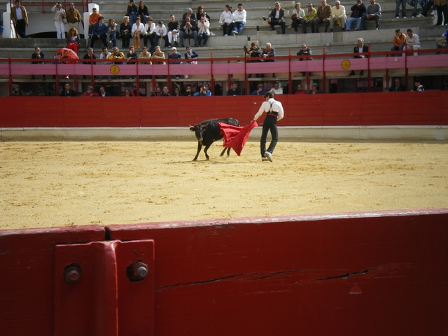 FeriaMedina (78)