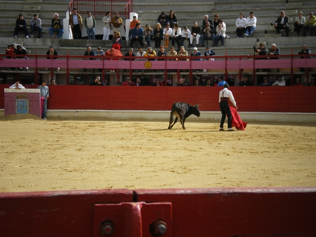 FeriaMedina (79)