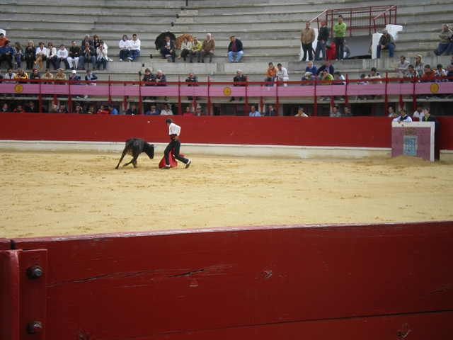 FeriaMedina (80)