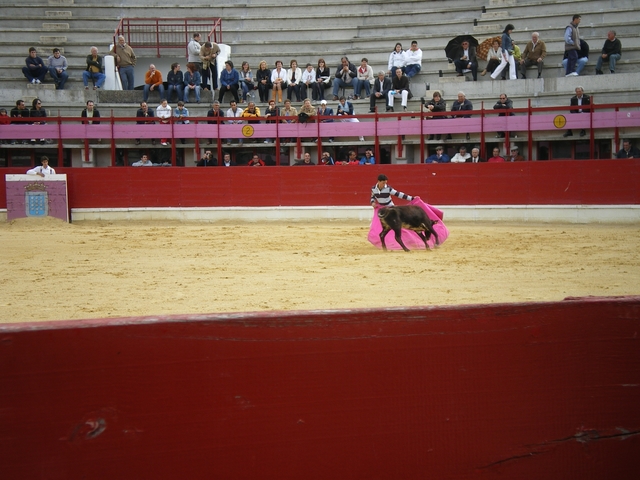 FeriaMedina (82)