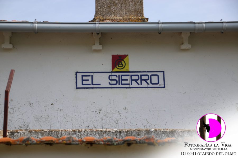ExcursionACTE mayo2025 (1)