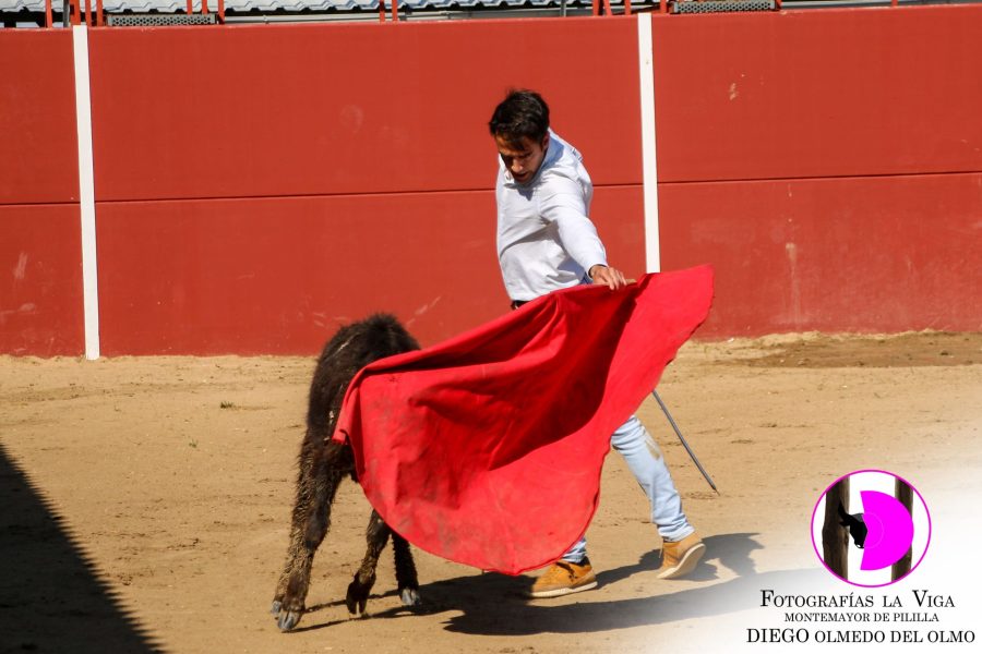 ExcursionACTE mayo2025 (32)