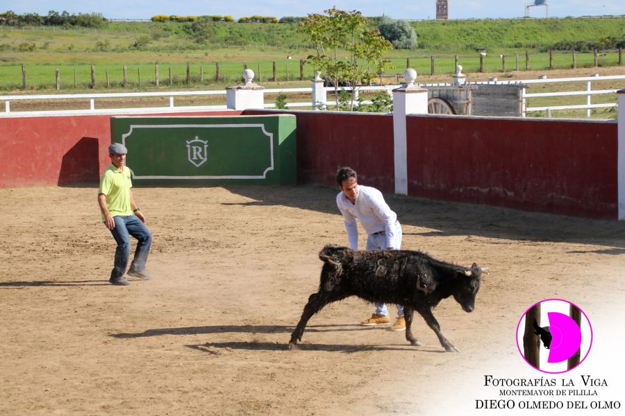 ExcursionACTE mayo2025 (33)