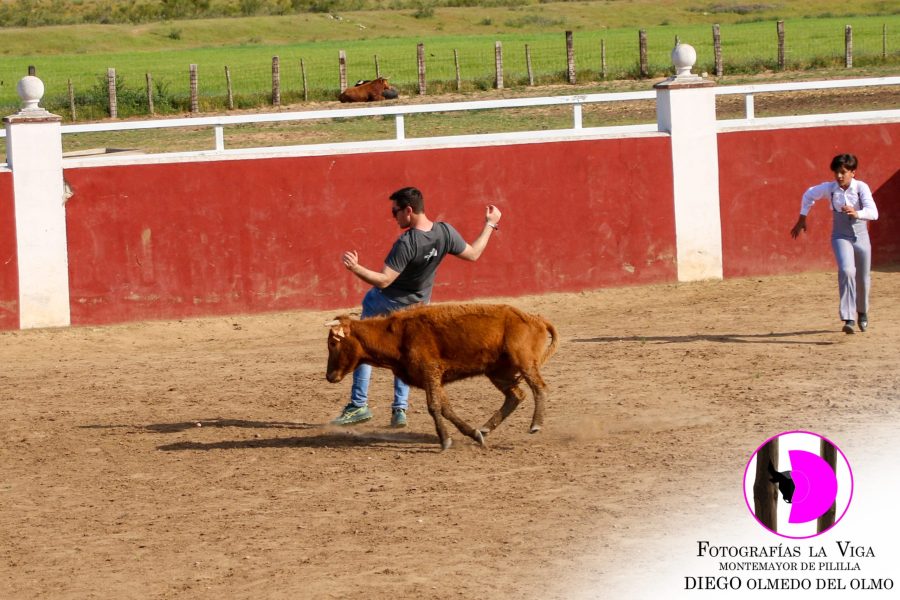ExcursionACTE mayo2025 (35)