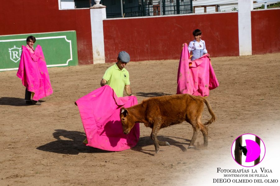 ExcursionACTE mayo2025 (36)