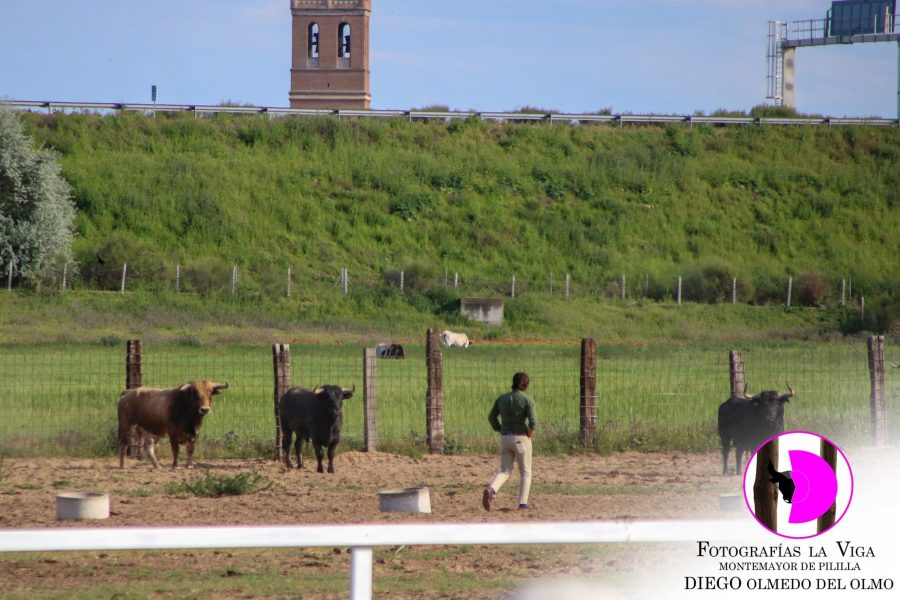 ExcursionACTE mayo2025 (37)