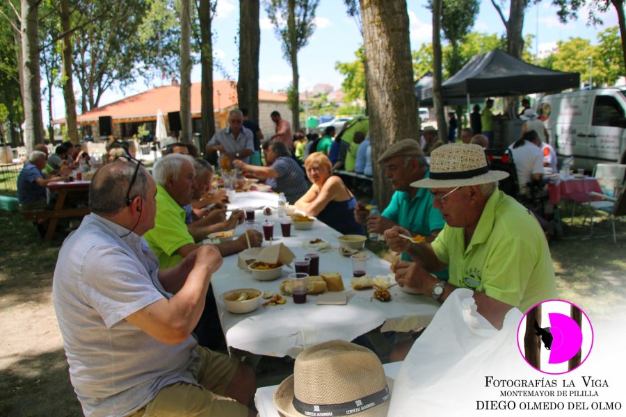 Jornada Verano 2025 (11)