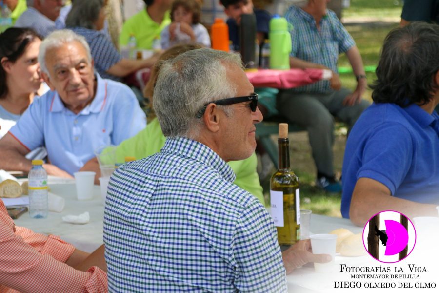 Jornada Verano 2025 (15)