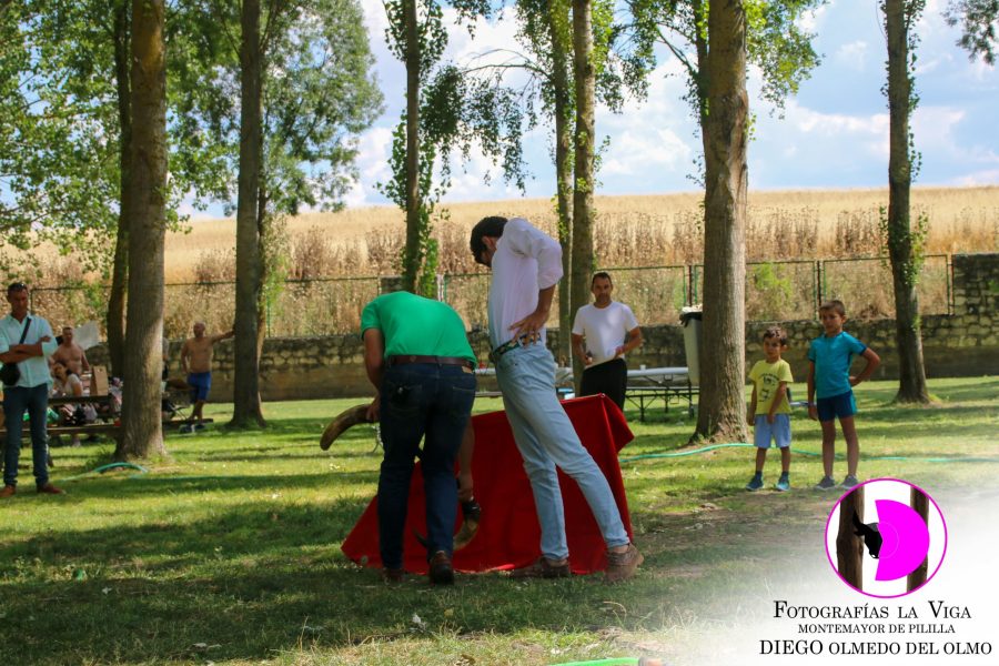 Jornada Verano 2025 (20)