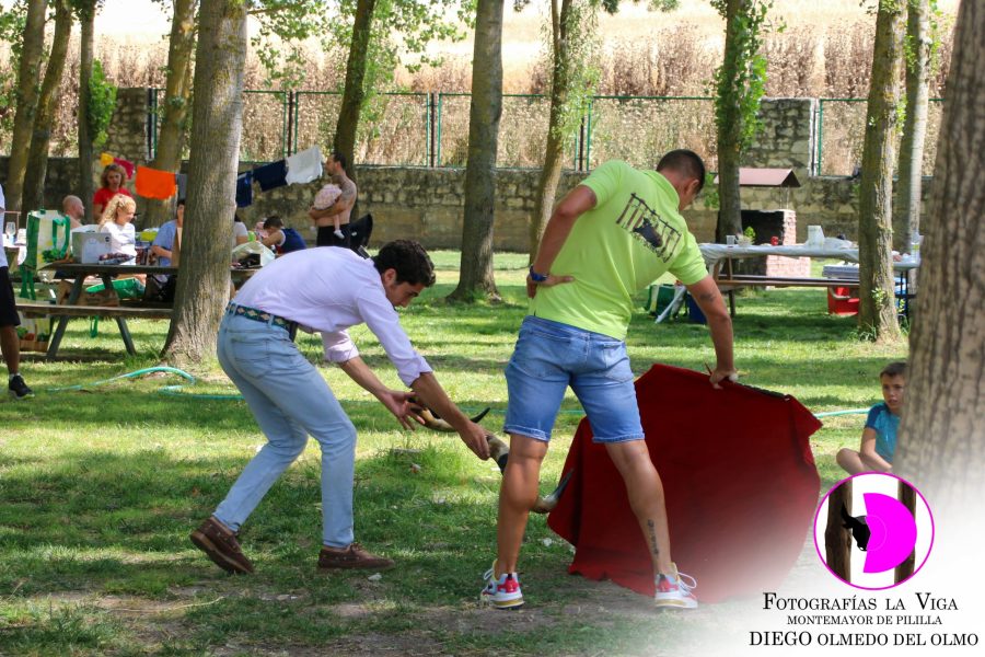 Jornada Verano 2025 (22)