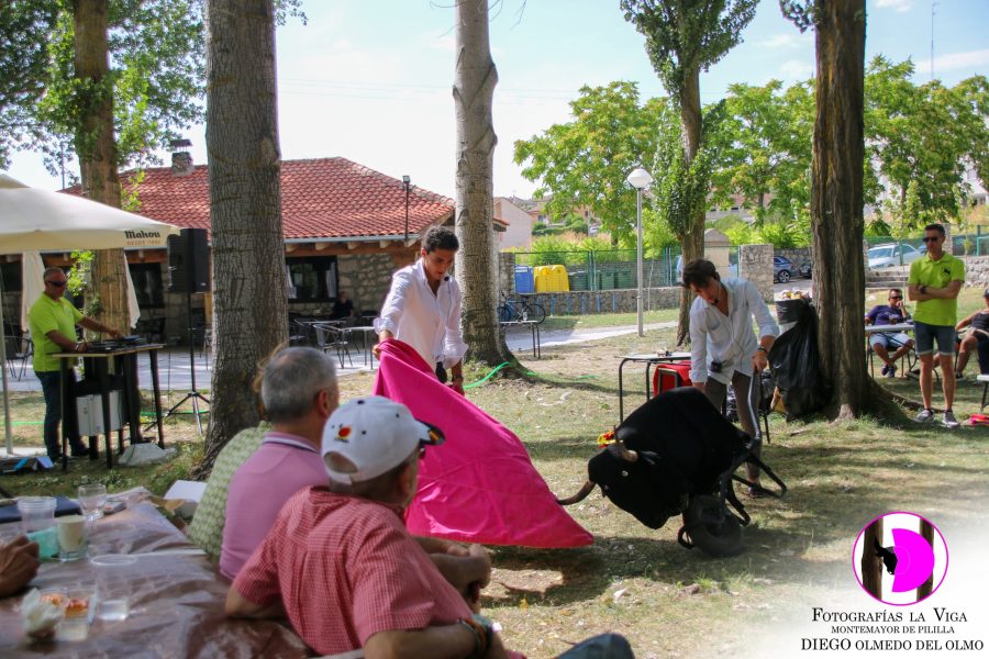 Verano2026 (17)