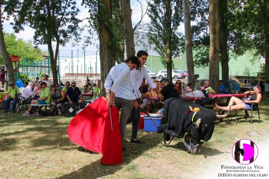 Verano2026 (18)